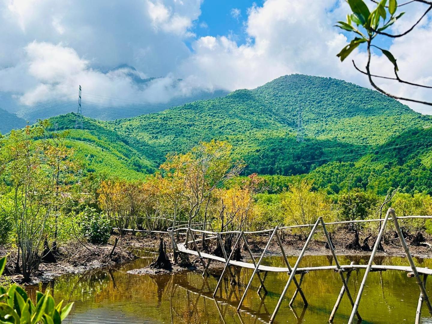Homie Hava Homestay Lang Co Bagian luar foto