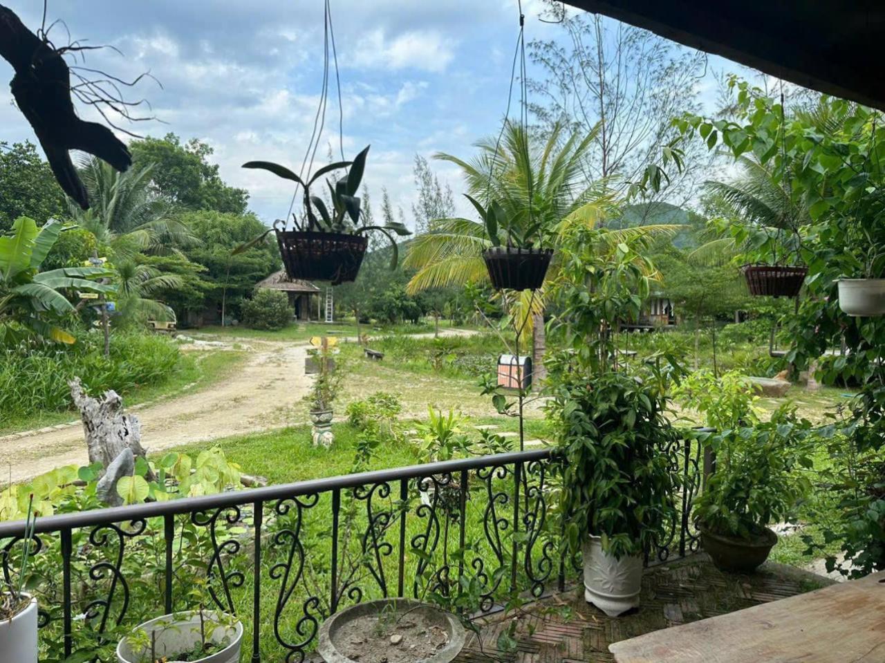 Homie Hava Homestay Lang Co Bagian luar foto